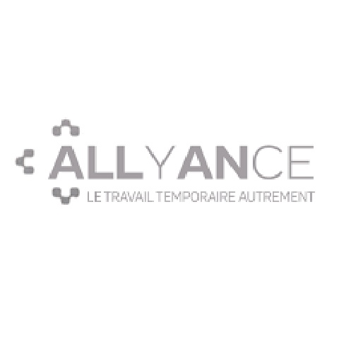 ALLYANCE INTERIM