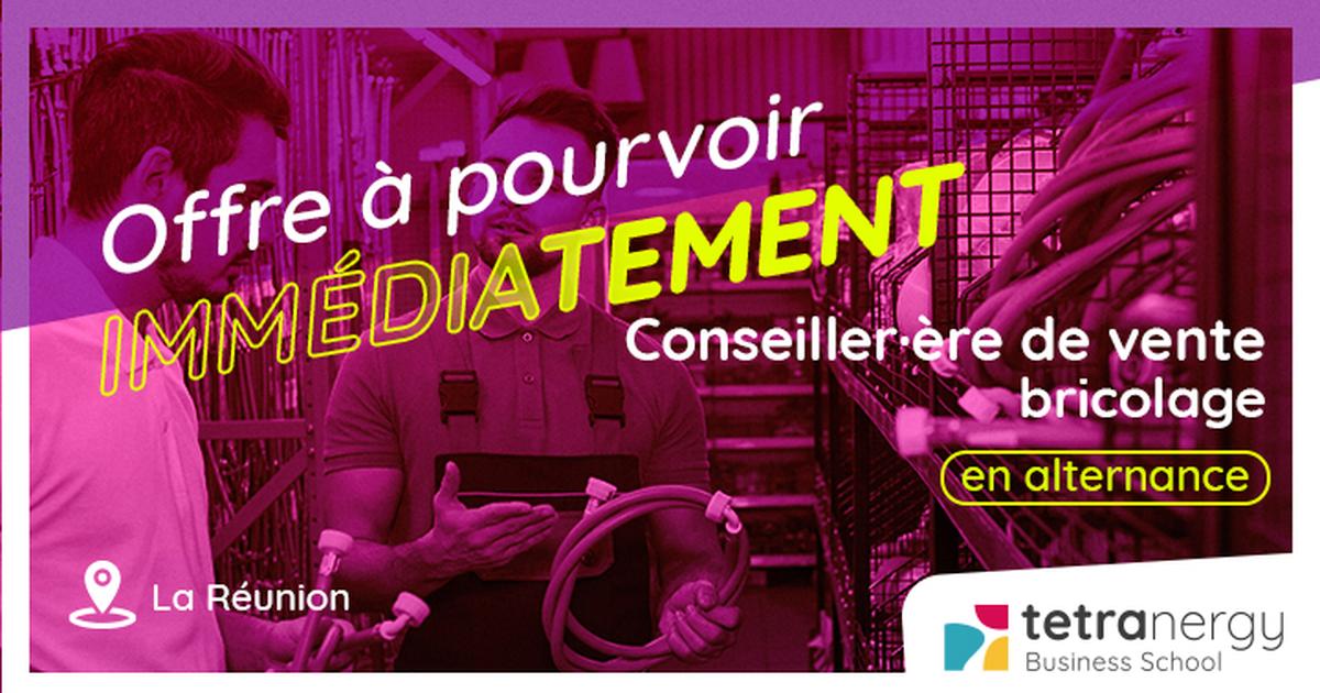 CONSEILLER·ÈRE DE VENTE EN MAGASIN DE BRICOLAGE (Saint-Gilles-les-Bains)