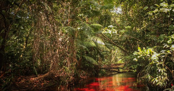 EN APPRENTISSAGE Chargé(e) d'accueil touristique et de loisirs GUYANE