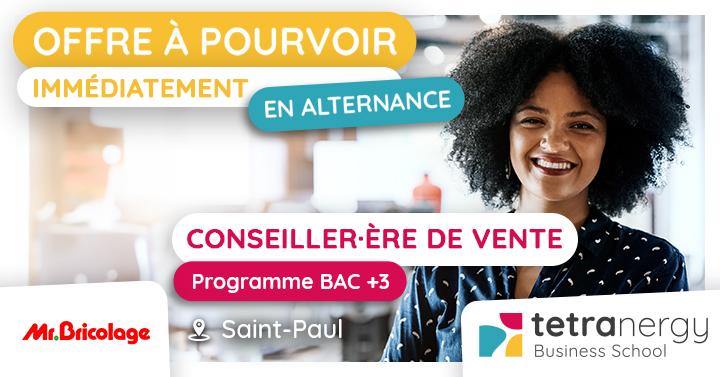 CONSEILLER·ÈRE DE VENTE EN BRICOLAGE (Saint-Paul)