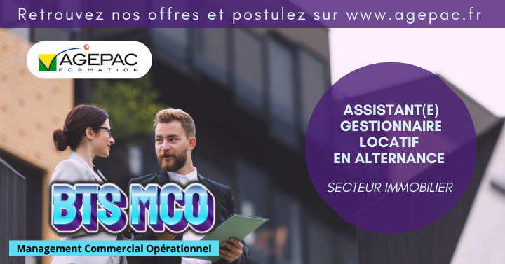 Assistant(e) Gestionnaire Locatif(ve) (H/F) - BTS MCO en Alternance dans une Entreprise du Secteur Immobilier | REF956