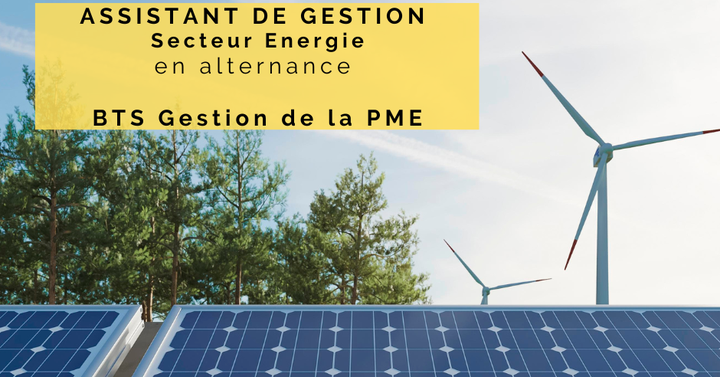 ASSISTANT(E) de GESTION EN ALTERNANCE SECTEUR ENERGIE | Ref101