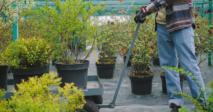 Employé-e polyvalent-e en jardinerie