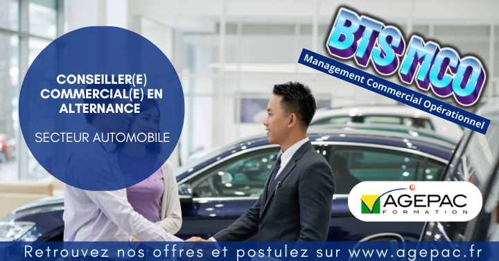 CONSEILLER(E) COMMERCIAL(E) (H/F) - BTS MCO EN ALTERNANCE - SECTEUR AUTOMOBILE  | REF952