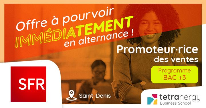 PROMOTEUR·RICE DES VENTES (Saint-Denis)