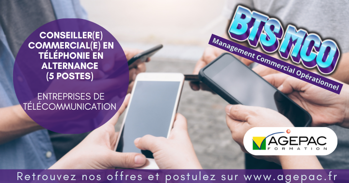 Chargé(e) de Clientèle en Téléphonie (H/F) - BTS MCO en Alternance (2 postes) au sein d'une Entreprise de Télécommunication | REF959