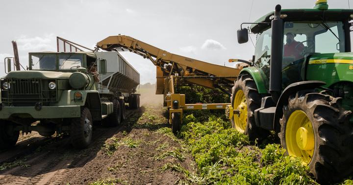 Formateur du secteur Agricole