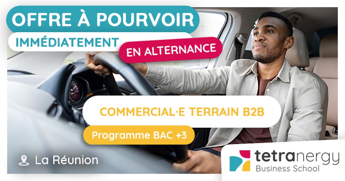 COMMERCIAL·E TERRAIN B2B (Toute l'île)