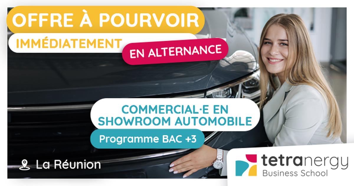 COMMERCIAL·E EN SHOWROOM AUTOMOBILE (Toute l'île)