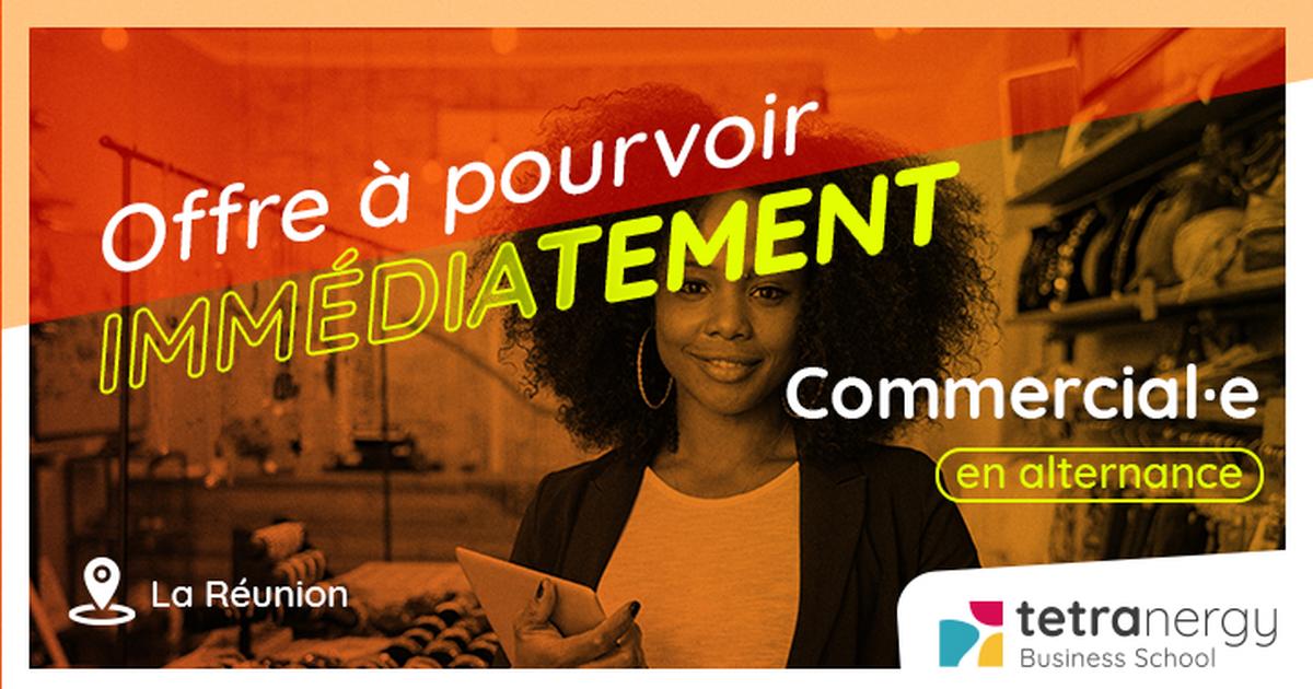 COMMERCIAL·E SÉDENTAIRE B2B (2 POSTES À POURVOIR : Le Port + La Possession)