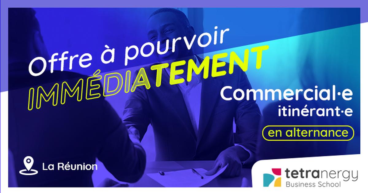 COMMERCIAL·E B2B EN PNEUMATIQUES (Saint-Louis)