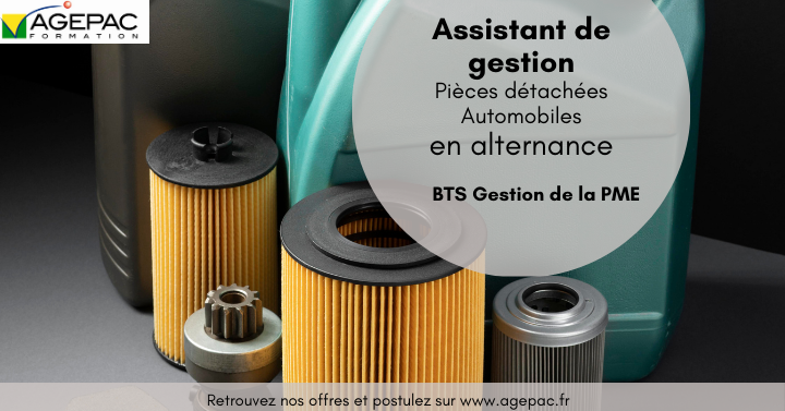 ASSISTANT(E) DE GESTION ET COMPTABILITE (H/F) – Pièces détachées Automobile - BTS GPME EN ALTERNANCE | REF810