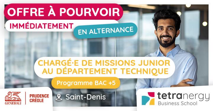 CHARGÉ·E DE MISSION JUNIOR AU DÉPARTEMENT TECHNIQUE (Saint-Denis)