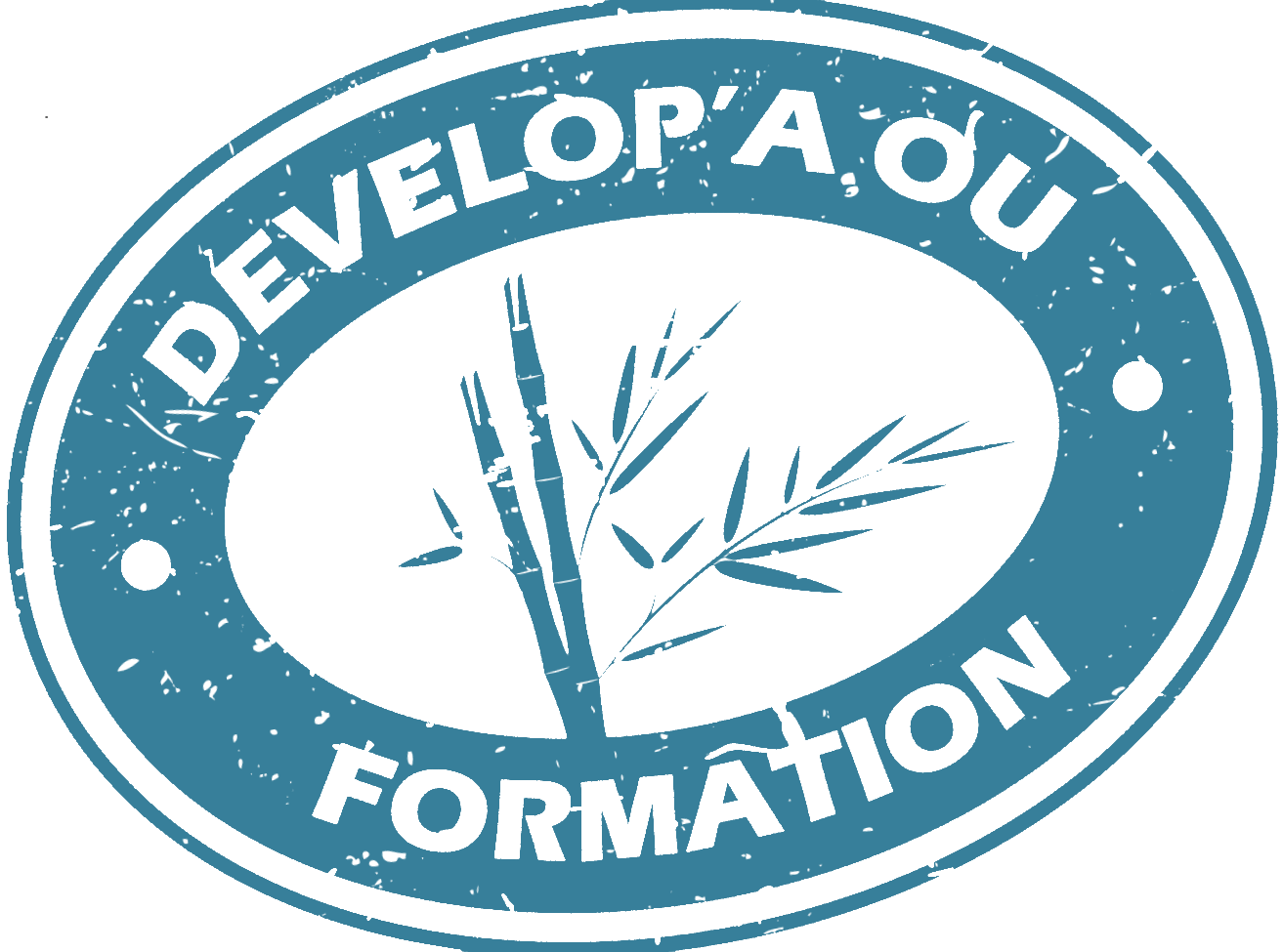 Logo DEVELOP'A OU